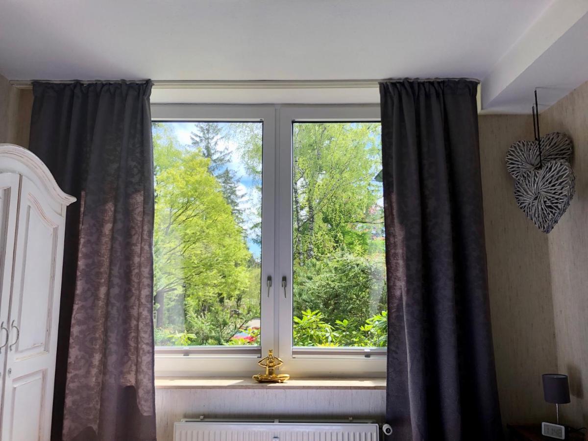 Fewo Harzromantik Braunlage Kültér fotó