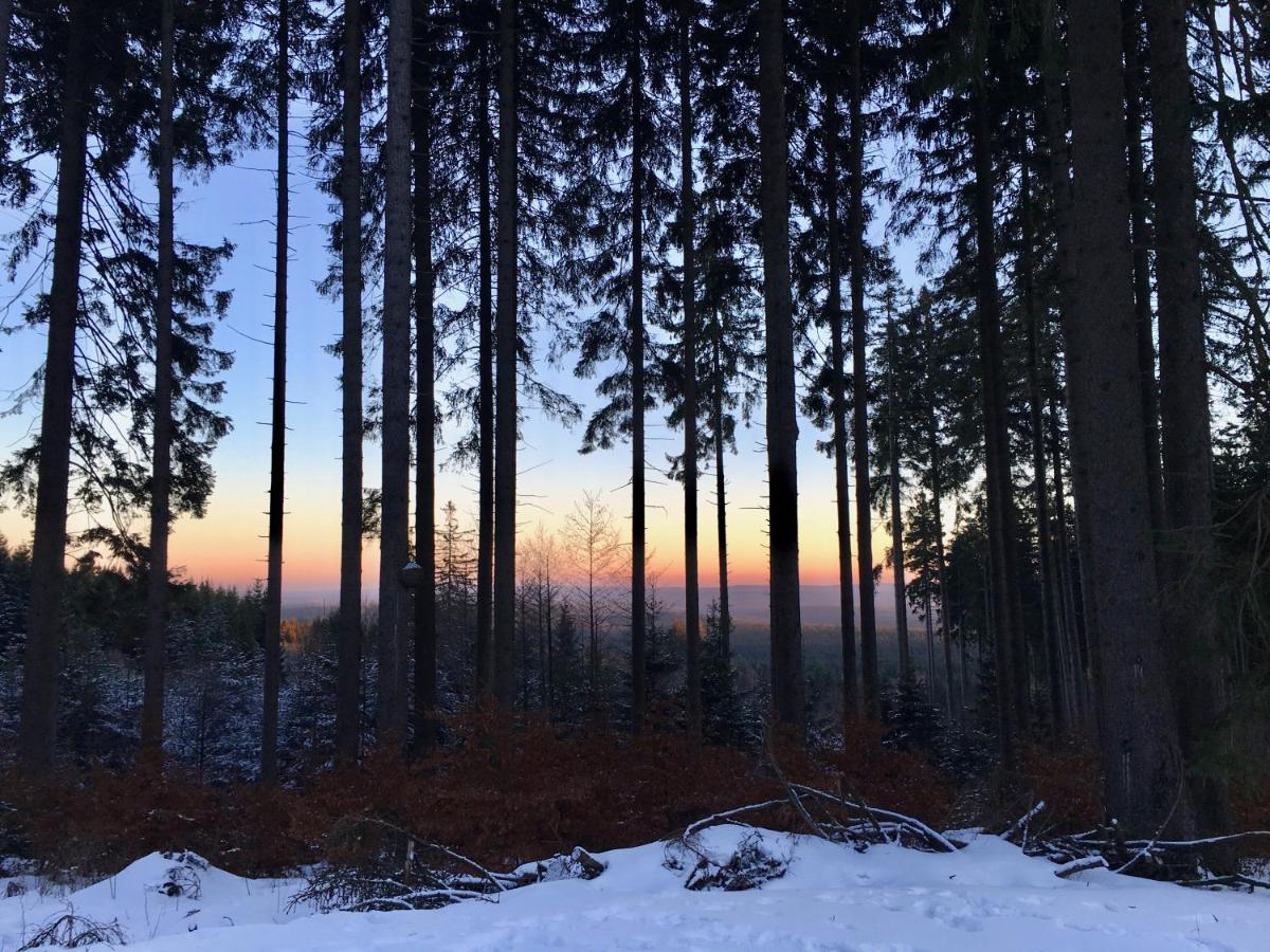 Fewo Harzromantik Braunlage Kültér fotó